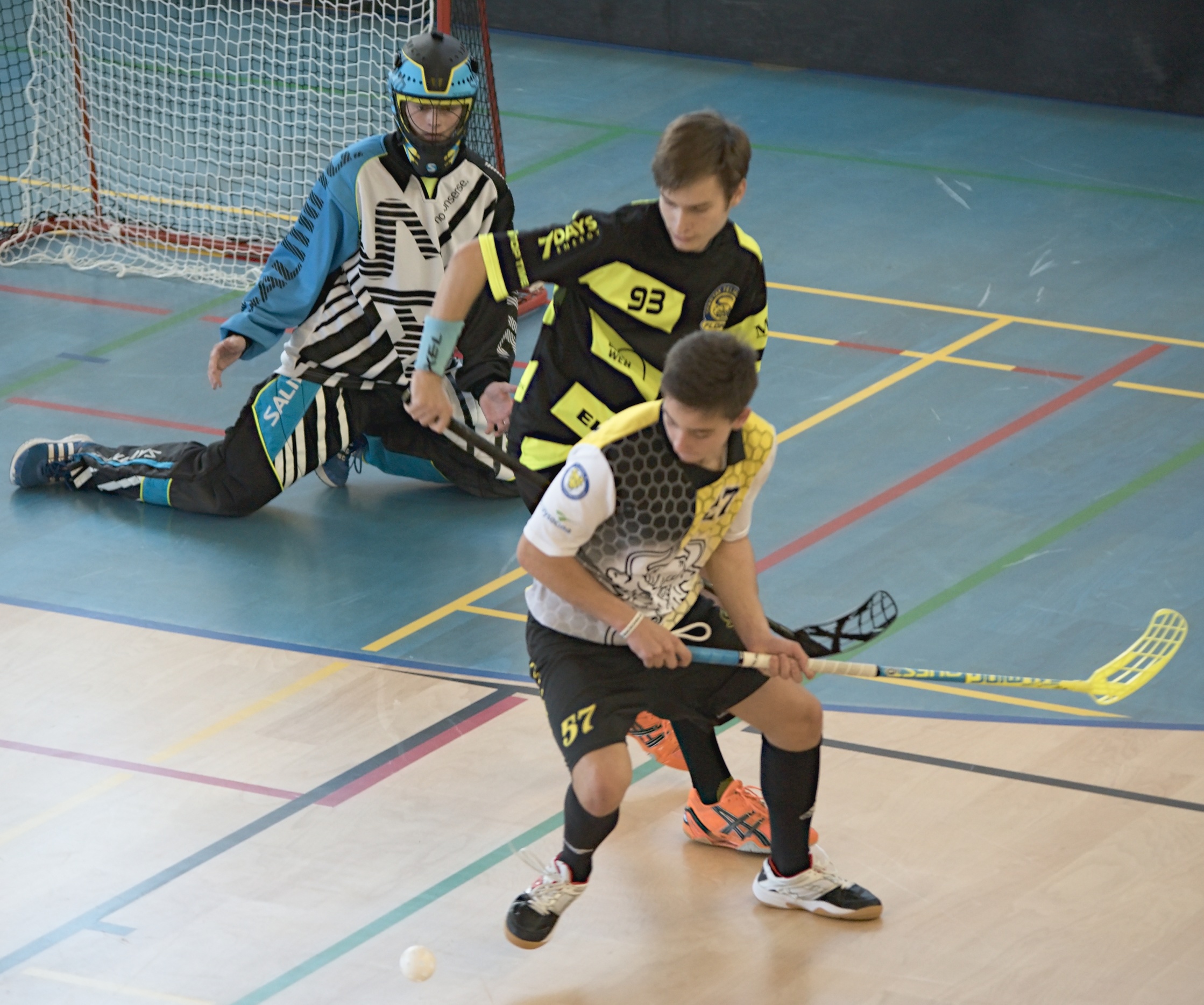 JunciLedec241015 136